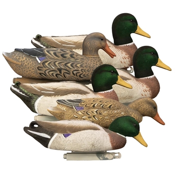 Picture of Higdon Outdoors Magnum Mallard Flocked Heads 6pk 17053