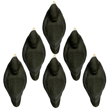 Picture of Higdon Outdoors Standard Coot Foam Filled 6pk 19973