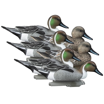 Picture of Higdon Outdoors Standard Pintail Foam Filled 6pk 19533