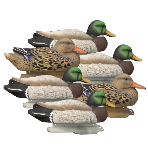 Picture of Higdon Standard Mallard Filler Pack Regular 6/ct 19022