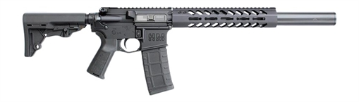 Picture of HM Defense HM15F-MS-556 StealthMS5 5.56 NATO 30+1 16.25" Integrally Suppressed Barrel, Black Hardcoat Anodize Aluminum Receiver w/Picatinny Rail, M-LOK Handguard, Adj HM CBQ  Black Polymer Stock, Blac