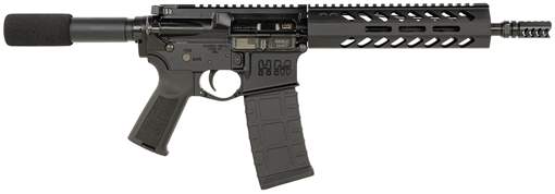 Picture of HM DEFENSE RAIDERMC556 HMP15FMB556C