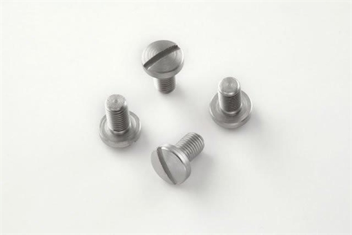 Picture of Hogue Govt. and Officers Model Screws (4) Slotted - Stainless Finish 45018