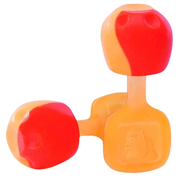 Picture of Howard Leight TrustFit Pod Earplugs Foam 28 dB In The Ear Orange Adult 5 Pair R02236
