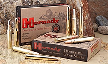 Picture of HORNADY 500-416NITRO 400DGS20 82682