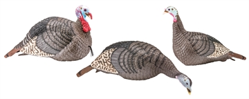 Picture of HS Strut Strut-Lite Flock Wild Turkey Species Multi Color Synthetic 3 Per Pack 100006