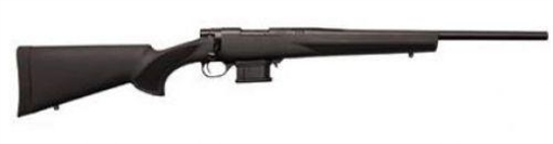 Picture of HTI STOCK MAGAZINE KIT .223 REM 10+1 22IN BBL BLK THREADED HMA60202