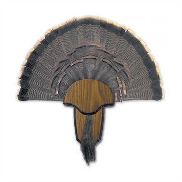 Picture of Hunters Specialties Hunters Specialties Turkey Mount Kit Tail & Beard HS-STR-00849