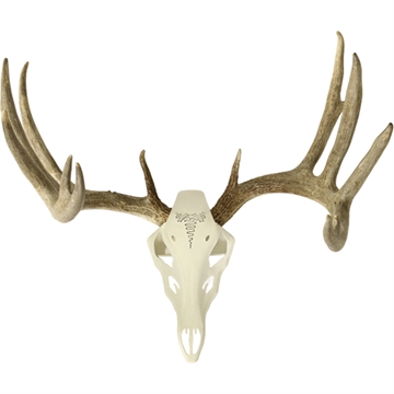 Picture of Hunters Specialties Hunters Specialties Metal Magic Euro Mount Kit Metallic Silver HS-EM-M-SLV