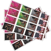 Picture of Innerloc Innerloc Carnage Replacement Wraps 38 ct. 3409