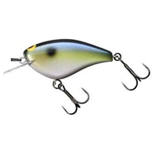 Picture of JACKALL LURES BLING 55 2.2" SK SHAD JBLG55-SKS