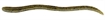 Picture of JACKALL LURES FLICK SHAKE 5.8" PUMPKIN PEPPER JFLSK58-PP