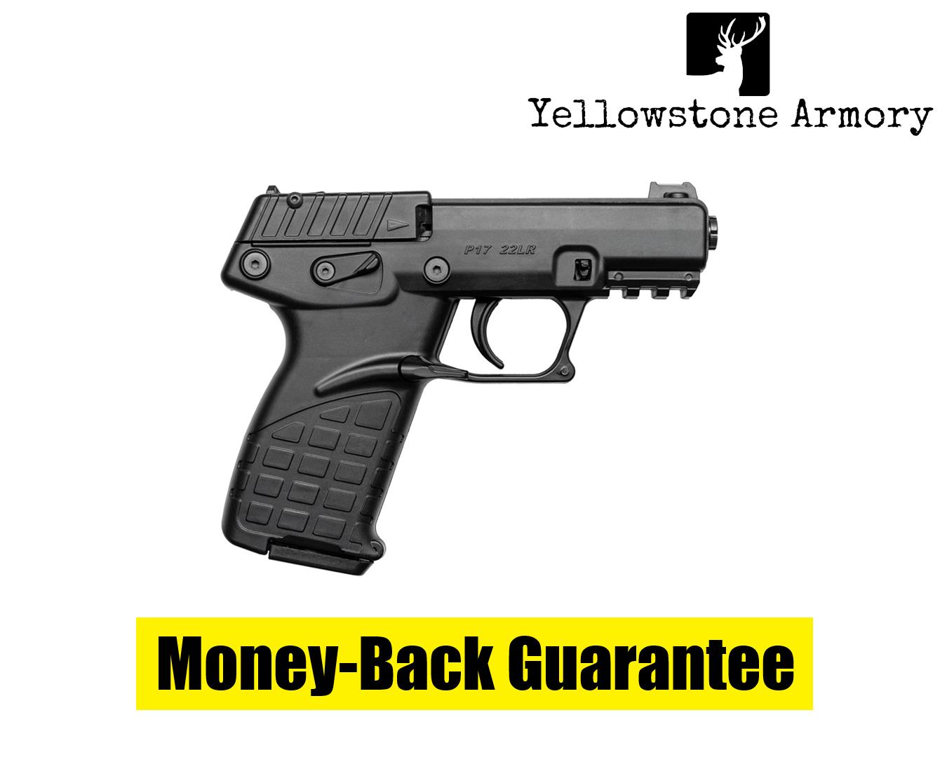 KelTec P17 Pistol 22 lr. 3.8 in. Black 17 rd. P17BLK-img-0