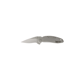 Picture of Kershaw Chive EDC 1.90" Folding Drop Point Plain Bead Blasted 420HC SS Blade, Bead Blasted Stainless Steel Handle 1600