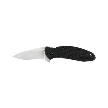 Picture of Kershaw Scallion 1620X