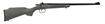 Picture of KEYSTONE SPORTING ARMS CRICKETT 22LR BL/GRY KSA2447