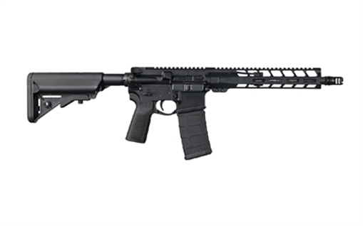 Picture of LAN SF15 CQB 11.5" 300BO SBR 30RD 01-FA-300-CQB-SBR 614347716618