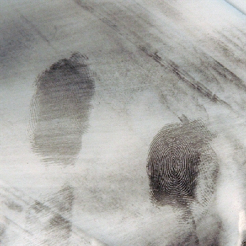 Picture of Lightning Powder Lightning Powder 1003827 844272009558