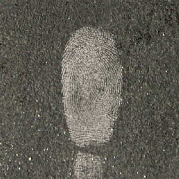 Picture of Lightning Powder Lightning Powder 1003890 844272012077