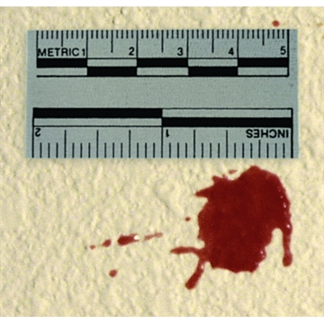 Picture of Lightning Powder Adhesive Scales 1005942 844272020515