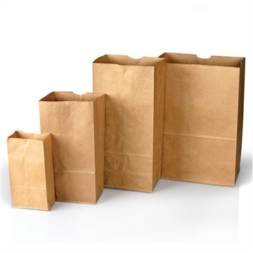 Picture of Lightning Powder Plain Paper Bags Style 86 1005313 844272000685