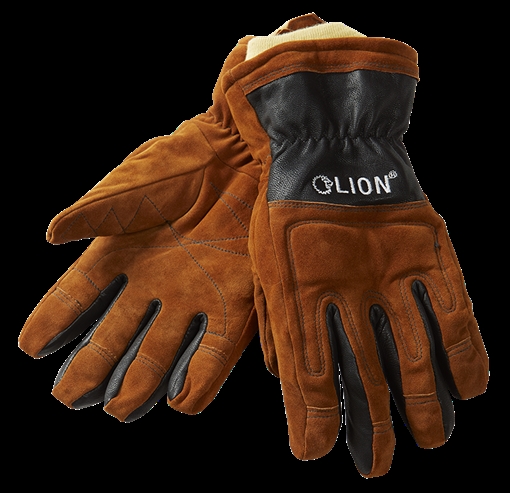 Picture of LION Essentials VICTORY Glove LPGVCTRY=10-M