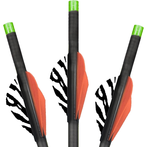 Picture of Lumenok Lumenok Carbon Crossbow Bolts 22 in. Green Moon Nocks 3 pk. BECC223G