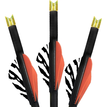 Picture of Lumenok Lumenok Carbon Crossbow Bolts 22 in. HD Orange Moon Nocks 3 pk. BECC223