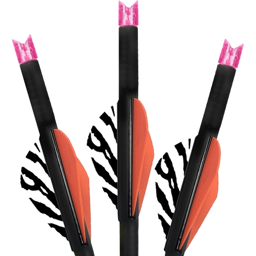 Picture of Lumenok Lumenok Crossbow Bolts 22 in Pink Moon 3 pk. BECC223P