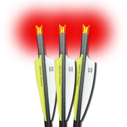 Picture of Lumenok Lumenok Carbon Crossbow Bolts 20 in. HD Orange Moon Nocks 3 pk. BECC3