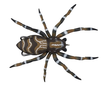 Picture of LUNKERHUNT PHANTOM SPIDER 2.25" 1/2OZ DOCK LSPIDER02