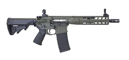 Picture of LWRC IC-A5 SBR 300BLK ODG 10" TB ICA5R3ODG10S