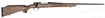 Picture of M70 25-06 Single Adjustable trigger Monte Carlo stock ZM70-191