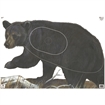Picture of Maple Leaf Press Maple Leaf NFAA Animal Faces Group 1 Bear NFA-01