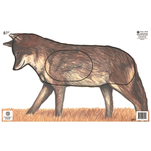 Picture of Maple Leaf Press Maple Leaf NFAA Animal Faces Group 3 Coyote NFA-20