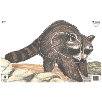 Picture of Maple Leaf Press Maple Leaf NFAA Animal Faces Group 3 Raccoon NFA-13