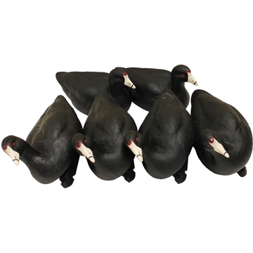 Picture of Mojo Outdoors MOJO Coot Confidence Decoys 6 pk. HW2514