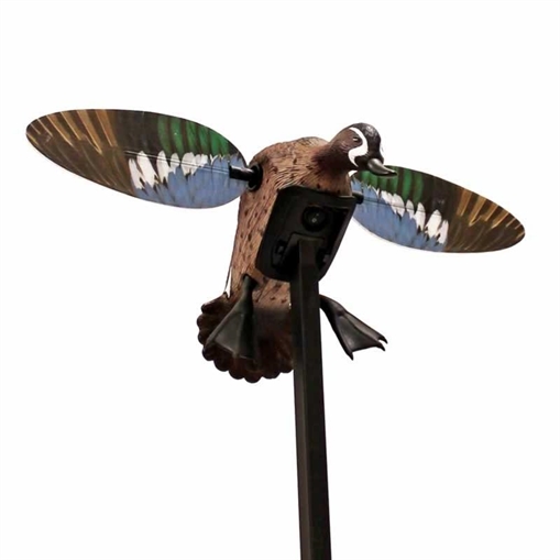 Picture of Mojo Outdoors Elite Series Blue Wing Teal Duck Species Multi Color Plastic Features Remote Control HW24753P