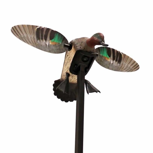 Picture of Mojo Outdoors Elite Series Green Winged Teal Duck Species Natural Molded Plastic Features Remote Compatible HW24743P