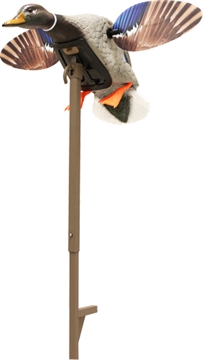 Picture of Mojo Outdoors Elite Series Mini Mallard Drake Species Multi Color Plastic HW24703P