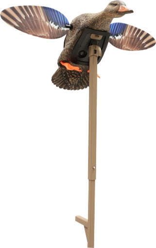 Picture of Mojo Outdoors Elite Series Mini Hen Mallard Species, Multi Color, Plastic, Features Remote Control HW24713P