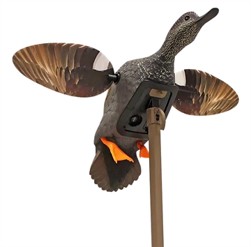 Picture of MOJO Elite Series Spinning Wing Decoy - Gadwall HW2473-3P HW24733P