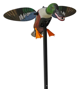 Picture of Mojo Outdoors Elite Series Spoonzilla Duck Species Multi Color Molded Plastic HW2490