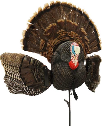 Picture of MOJO SCOOT N SHOOT MAX TURKEY DECOY HW2513