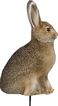 Picture of Montana Decoy Co Miss Hoptober Decoy 0036