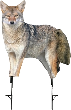 Picture of Montana Decoy Co Song Dog Coyote Decoy 0079