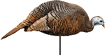 Picture of MONTANA DECOY COMPANY TURKEY HEN DINNER BELLE 0043
