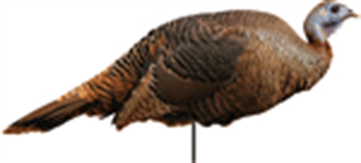 Picture of Montana Decoy Co Spring Fling Hen Decoy 0042