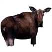 Picture of Montana Decoy Moose II 39