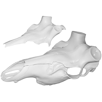 Picture of Mountain Mikes Mountain Mikes Elk Skull Master Universal Kit MMR ESM MMRESM